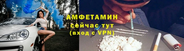 стафф Новозыбков
