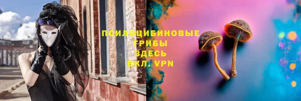 бутират Нягань