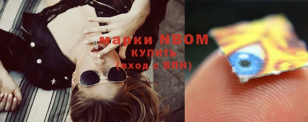 стафф Новозыбков