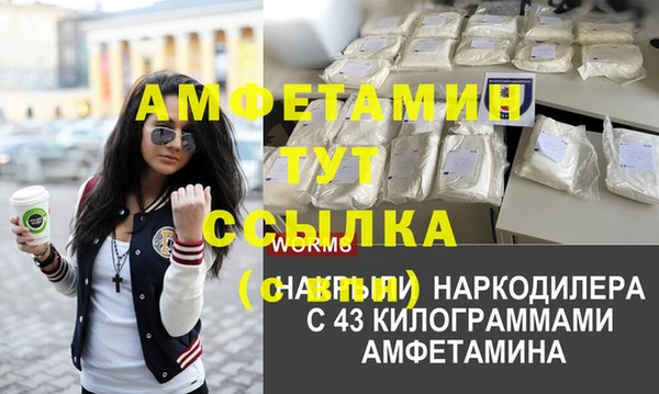 ПСИЛОЦИБИНОВЫЕ ГРИБЫ Новодвинск
