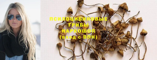 ПСИЛОЦИБИНОВЫЕ ГРИБЫ Новодвинск