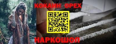 spice Дубна