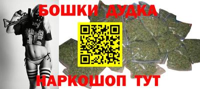 spice Дубна