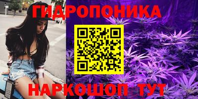 spice Дубна