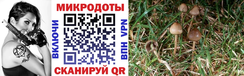 Галлюциногенные грибы GOLDEN TEACHER  Севастополь 