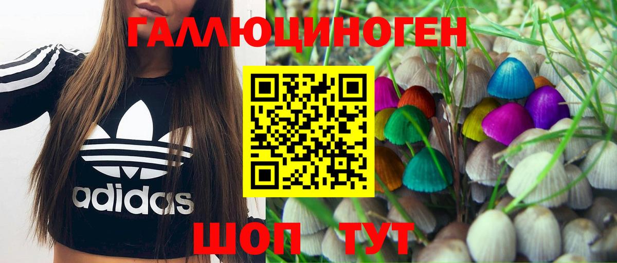 магазин    Галлюциногенные грибы Psilocybine cubensis  Вход с VPN  Севастополь 