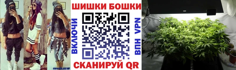 Бошки Шишки планчик Севастополь